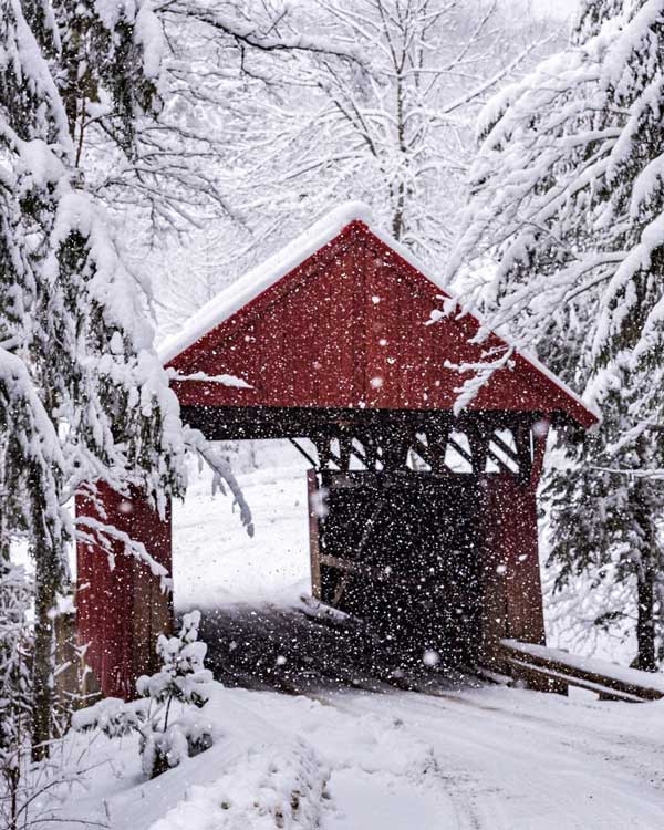 CT January - Country Living/Sam Trombino